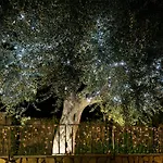 Bed & Breakfast Denise Vico Equense