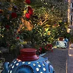 Denise Bed & Breakfast