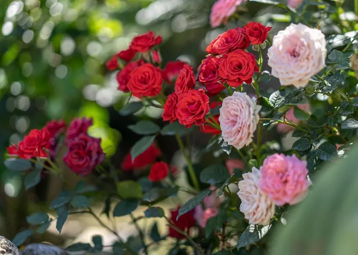 Denise Frühstückspension 4*