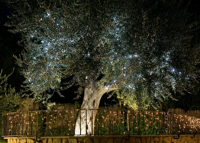 Frühstückspension Denise Vico Equense