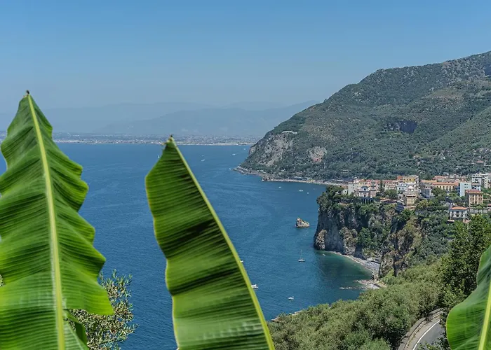 Denise ויקו אקוונסה